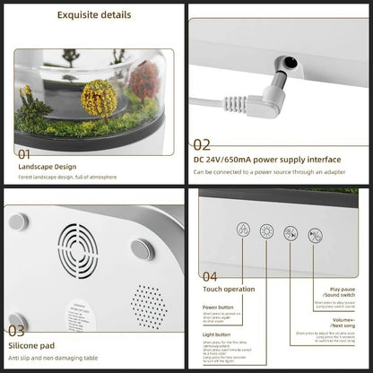 RainGlow Oasis™ Humidifier